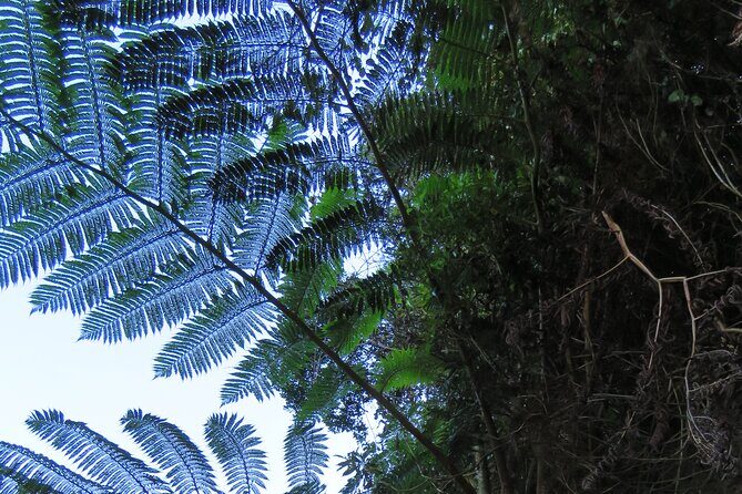 Full Day Private 4x4 Adventure in Madeira - Paul do Mar and Jardim do Mar: laid-back sea time