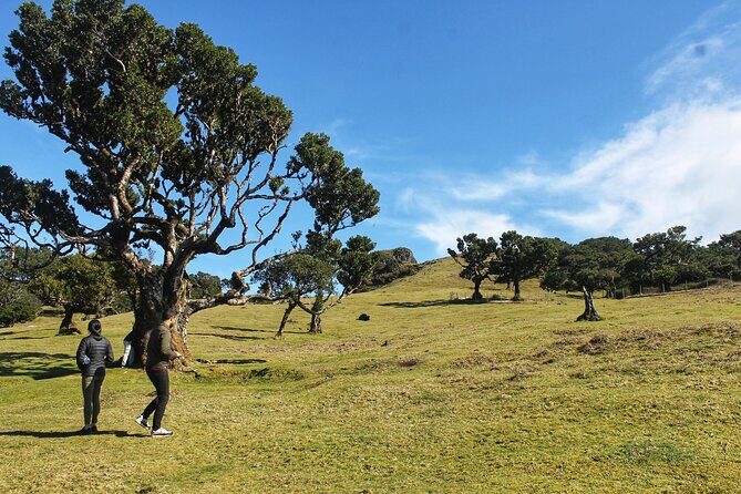 Full Day Private 4x4 Tour in West Madeira with Local Guide - Price, pickup, and what you should budget (beyond the tour cost)