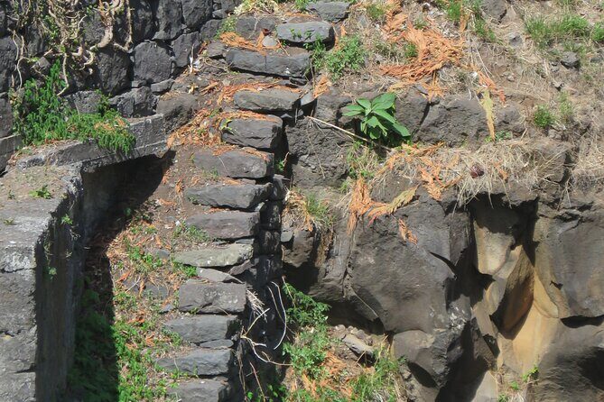 Full Day Tour in 4x4 Jeep to Porto Moniz and Fanal - Serra de Água and Bica da Cana: water and rock in the middle of the route