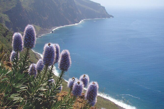 Full Day Tour of the West Zone of Madeira - Cascata dos Anjos: A Photo Stop That Keeps the Day Moving