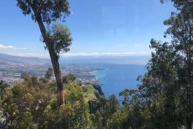 Full day West Adventure Jeep Tour in Madeira Portugal - Porto Moniz: Natural swimming pools plus the lunch break