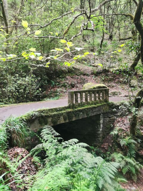 Funchal: 4x4 Jeep Trip to the East and Northeast of Madeira - Ribeiro Frio and the Levada walk (Balcōes option)