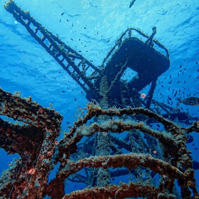 Funchal: Advanced Scuba Diving Afonso Cerqueira Wreck - Key Highlights You’ll Care About