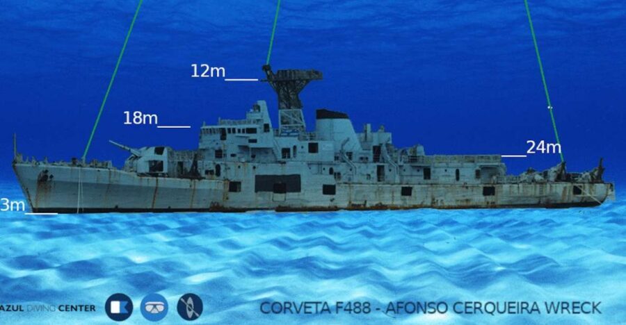 Funchal: Advanced Scuba Diving Afonso Cerqueira Wreck - Marine life on a protected reef: what you’re actually paying for
