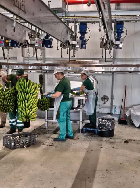 Funchal Agriculture Green Tour - Porto da Cruz Rum Factory and Steam Machines Still Running