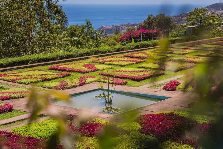 Funchal: Botanical Garden and Old Town Private Tuk-Tuk Tour - Key highlights worth planning for