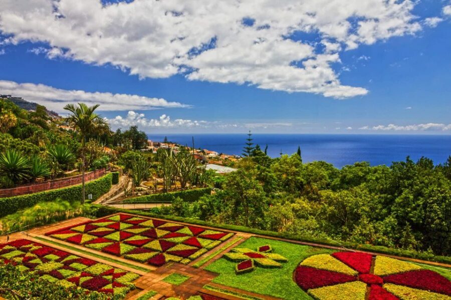 Funchal: Botanical Garden and Old Town Private Tuk-Tuk Tour - Bom Sucesso Estate Botanical Garden: plants, museum links, and a calmer pace