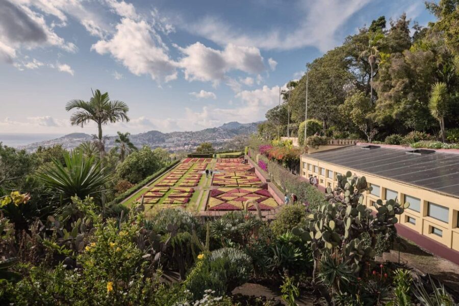 Funchal: Botanical Garden and Old Town Private Tuk-Tuk Tour - The ride feel: steep lanes, comfort tricks, and feeling safe
