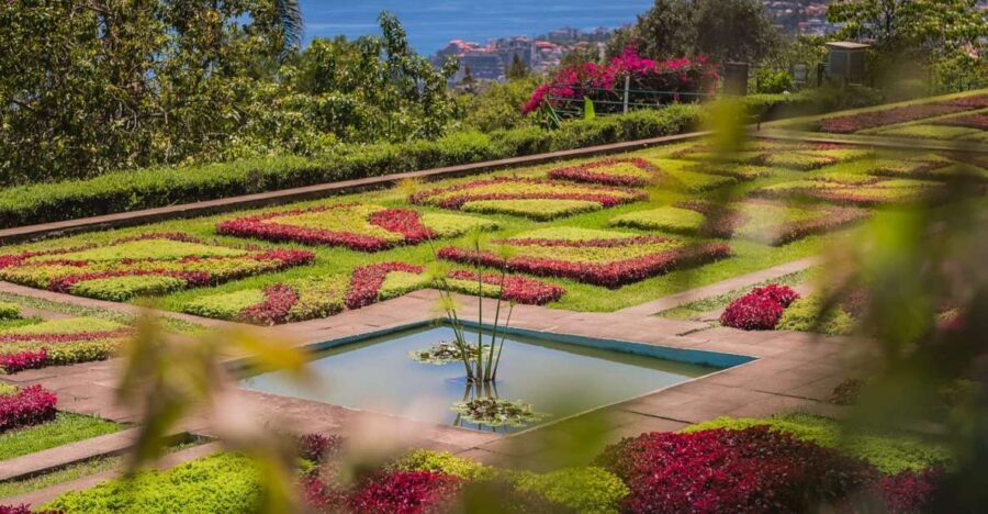 Funchal: Botanical Garden and Old Town Private Tuk-Tuk Tour - Zona Velha in the seat: cobblestones, facades, and quick history