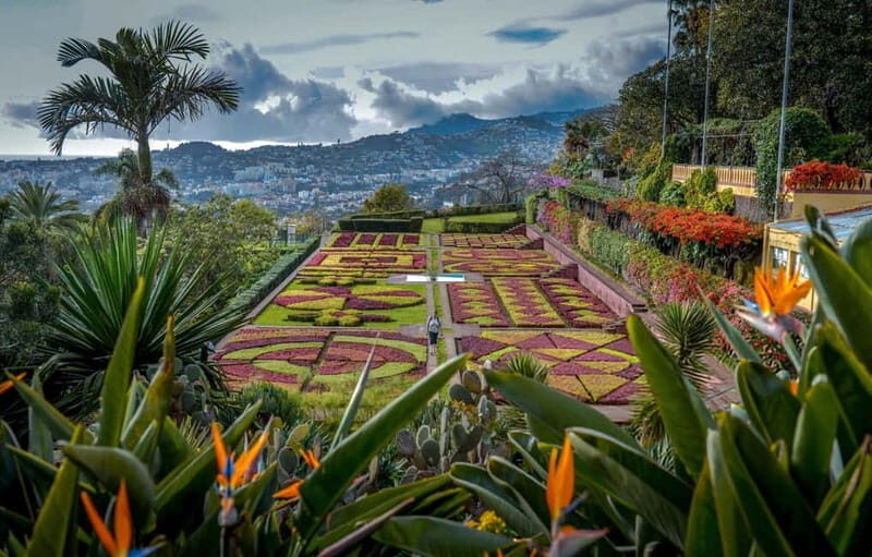 Funchal: Botanical Garden & Old Town Tour by TukTuk (1h45) - Old Town Scenery and the Return Ride Back to Funchal