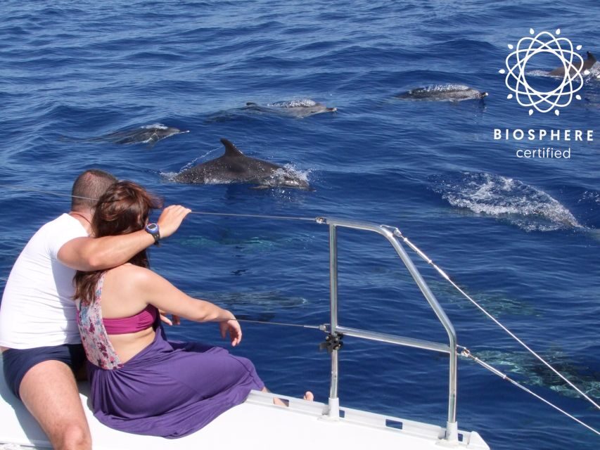 Funchal: Cabo Girão, Wines Tasting and Dolphins Watching - The big idea: how this 8-hour mix stays fun