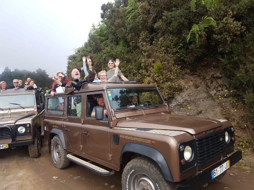 Funchal: Cabo Girão, Wines Tasting and Dolphins Watching - Wine tasting at Henriques & Henriques: what to expect and how to taste