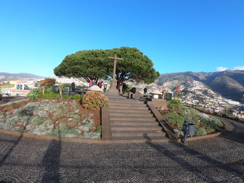 Funchal: Cabo Girão, Wines Tasting and Dolphins Watching - Starting high: Funchal’s bay views and Boca dos Namorados