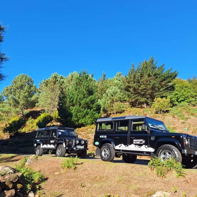Funchal: Câmara Lobos & Girão Sea Cliff Half-Day Jeep Tour - Key Highlights: What You’ll Remember Most