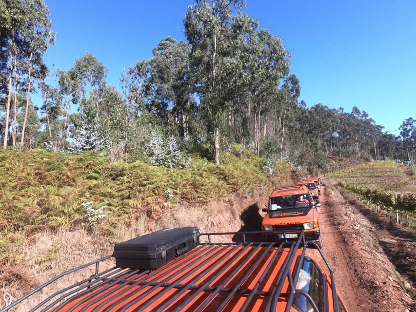 Funchal: Câmara Lobos & Girão Sea Cliff Half-Day Jeep Tour - A Jeep Tour That Actually Fits Madeira’s Hills