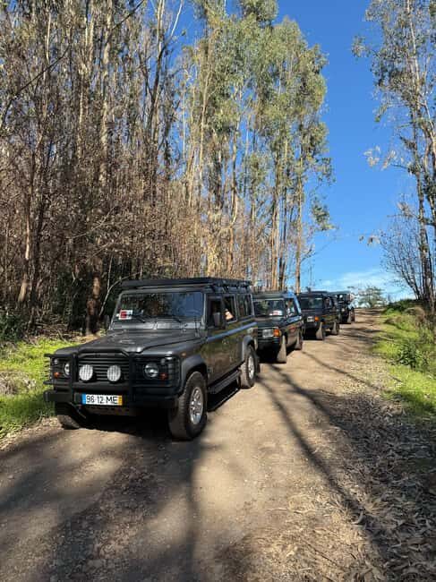 Funchal: Câmara Lobos & Girão Sea Cliff Half-Day Jeep Tour - Price and Value: Is $45 Worth 4 Hours?