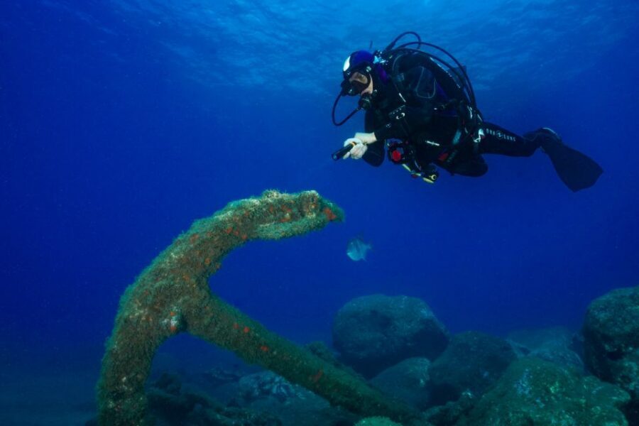 Funchal: Certified Scuba Diving, Guided Tour - Eco Park Funchal: why this shore session feels different