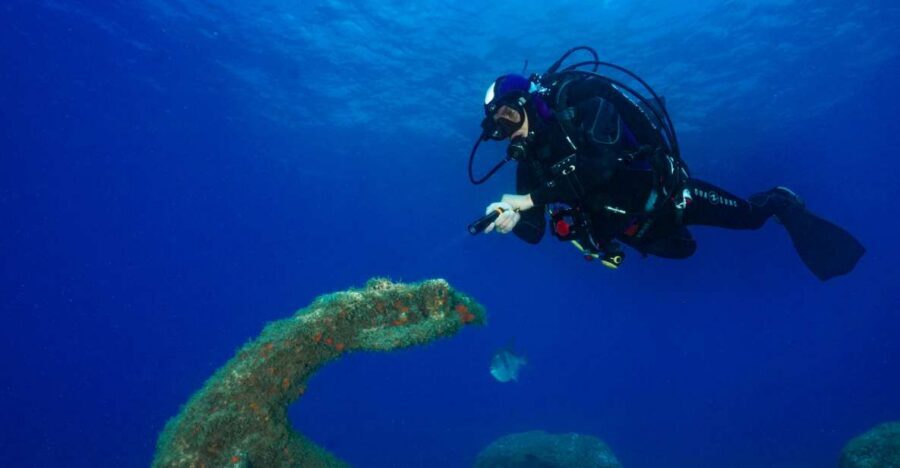 Funchal: Certified Scuba Diving, Guided Tour - Price and value: why $33 can make sense here