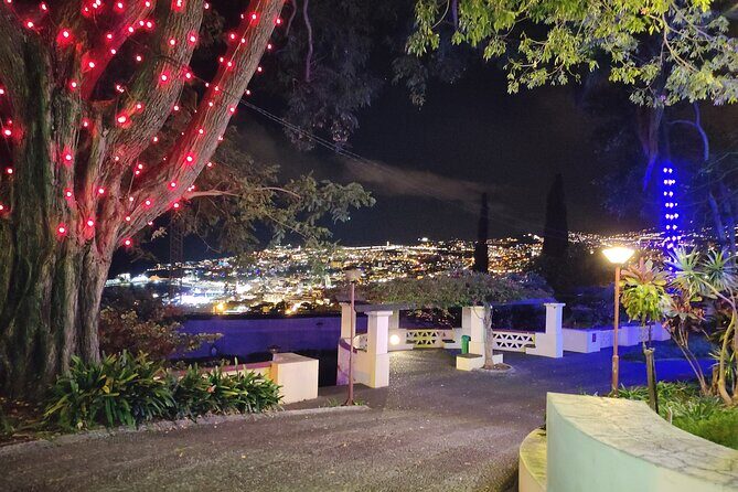 Funchal Christmas lights sightseeing night tour - Timing you can trust: about an hour, sometimes longer