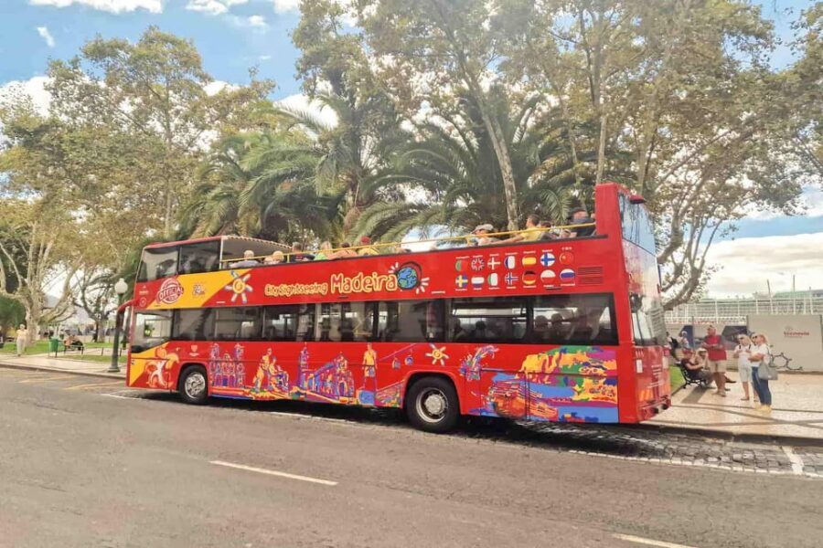 Funchal: City Sightseeing Hop-On Hop-Off Bus Tour - What can go wrong: headphones, audio sync, and open-top expectations