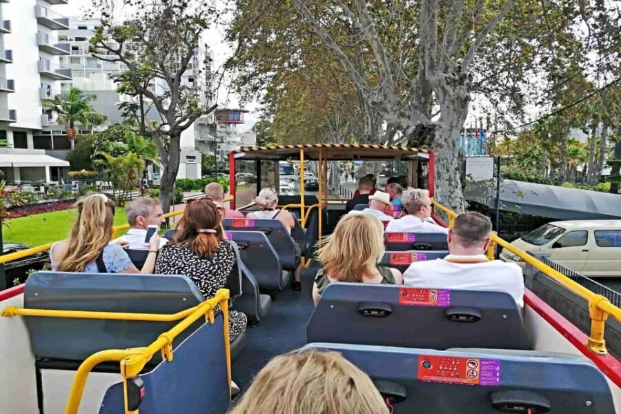 Funchal: City Sightseeing Hop-On Hop-Off Bus Tour - Value check: why $29 can be a smart buy in a 1–2 day Funchal plan
