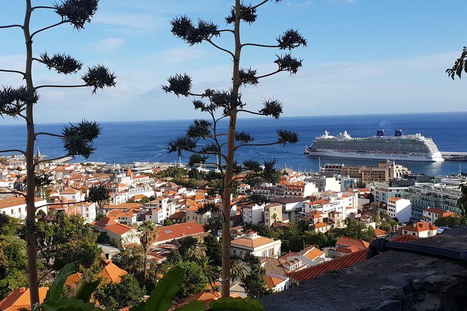 Funchal City Tour + Old Town - Barreirinha Viewpoint: A Quick Sea Stop That Pays Off