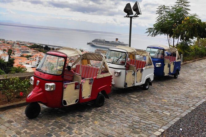 Funchal City Tour + Old Town - How the 1-Hour Timing Feels in Real Life