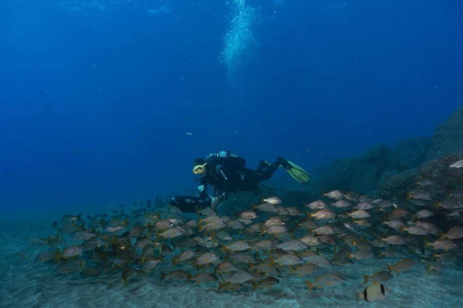Funchal: DPV- Scooter Dive Adventure - On The House Reef: What The Water Time Feels Like