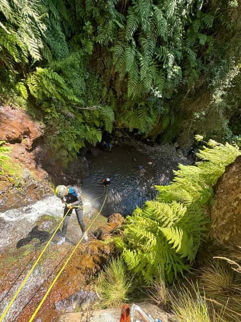 Funchal: Explore Canyoning Level 1 Rochão - What each moment feels like (and how to pace yourself)