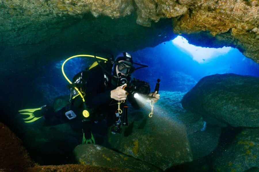 Funchal: Garajau national park - certified divers - Key highlights worth booking