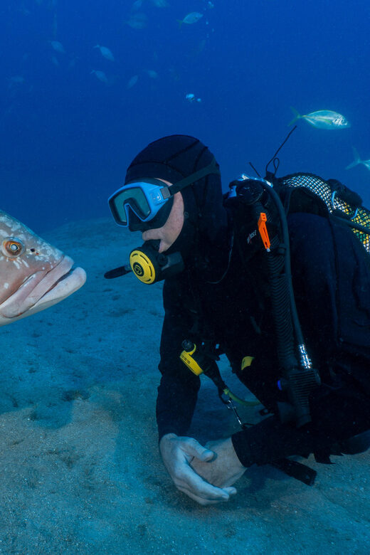 Funchal: Garajau national park - certified divers - FAQ