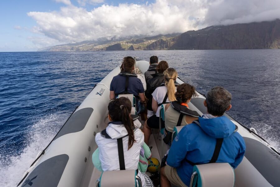 Funchal: Guarantee Wild Dolphin&Whale Watching by RIB - The Optional Swim With Dolphins: Price, Rules, and Timing You Should Know