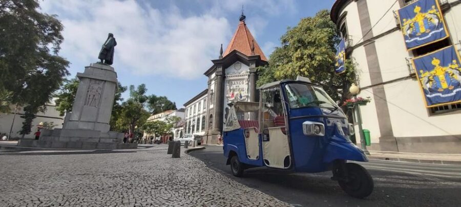 Funchal: Guided City Tuk-Tuk Tour - Quick Tips Before You Roll