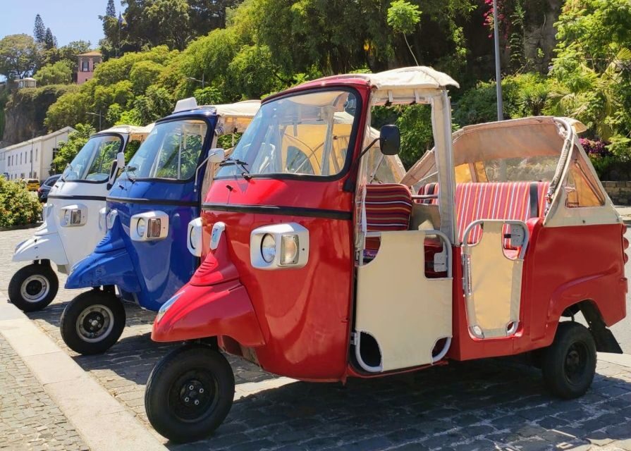 Funchal: Guided City Tuk-Tuk Tour - One Hour to Get Your Bearings in Funchal