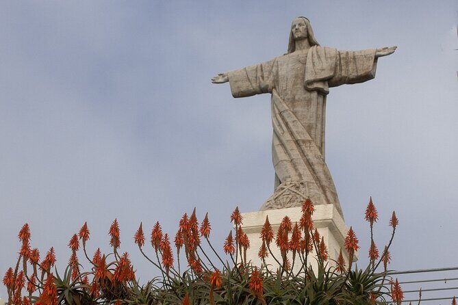 Funchal highlights 5h Private Tour in Madeira - A Private 5-Hour Loop Through Madeira’s Best Viewpoints