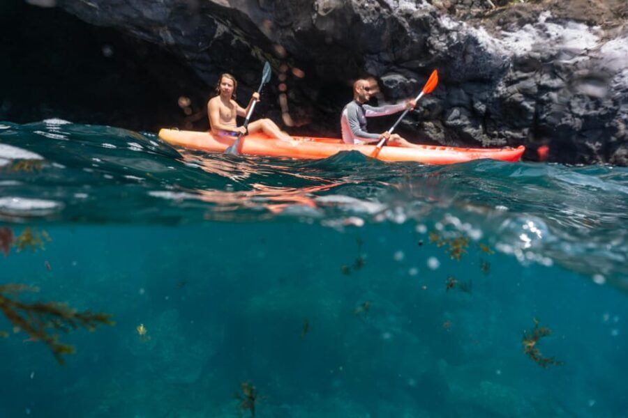 Funchal: KAYAK Rental or Guided tour with snorkeling - Why Funchal’s kayak + snorkeling combo fits Madeira so well