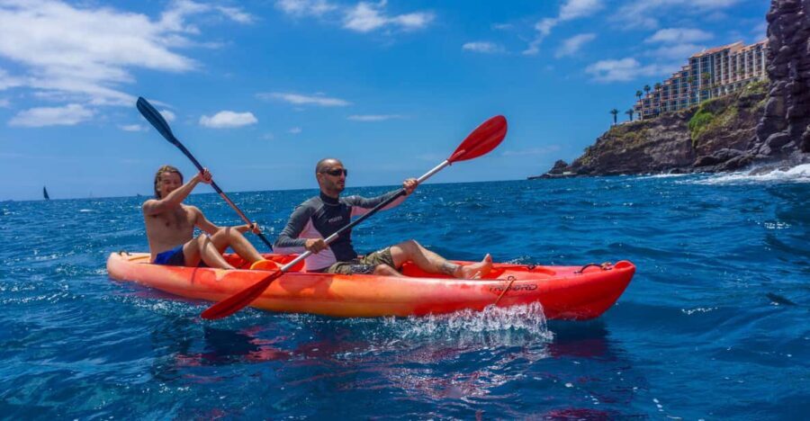 Funchal: KAYAK Rental or Guided tour with snorkeling - Who should book (and who should skip it)