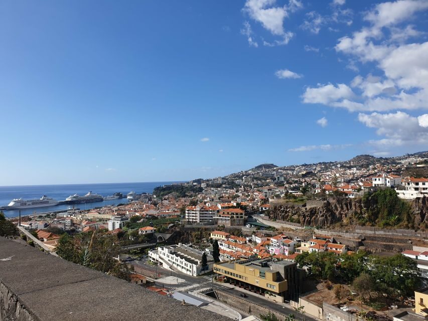 Funchal: Madeira Botanical Garden Private Tuk-Tuk Tour - Why a Tuk-Tuk Makes Sense for Funchal Hills