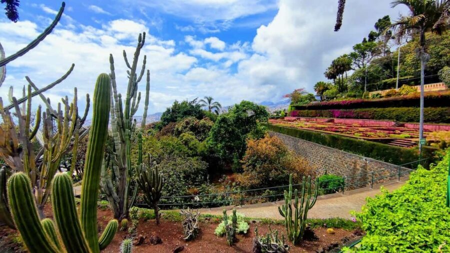 Funchal: Madeira Botanical Garden Private Tuk-Tuk Tour - Price and Value: Is $40 Worth It?