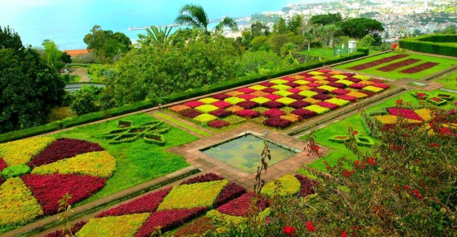 Funchal: Madeira Botanical Garden Private Tuk-Tuk Tour - Who This Tour Fits Best (and Who Should Rethink It)