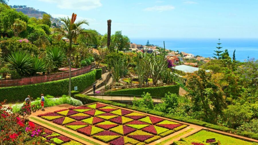 Funchal: Madeira Botanical Garden Private Tuk-Tuk Tour - Your 1-Hour Schedule in the Garden (and How Not to Feel Rushed)