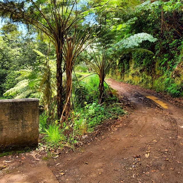 Funchal: Madeira Island 4x4 Private Customizable Tour - The day starts with Funchal pickup and a true off-road mindset