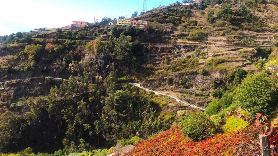 Funchal: Northern Levada Walking Tour - Key highlights that make this walk worth your time