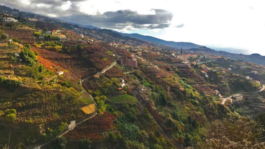 Funchal: Northern Levada Walking Tour - Who should book this tour (and who should skip it)