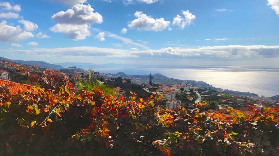 Funchal: Northern Levada Walking Tour - Cabo Girão to Quinta Grande: what the route really feels like