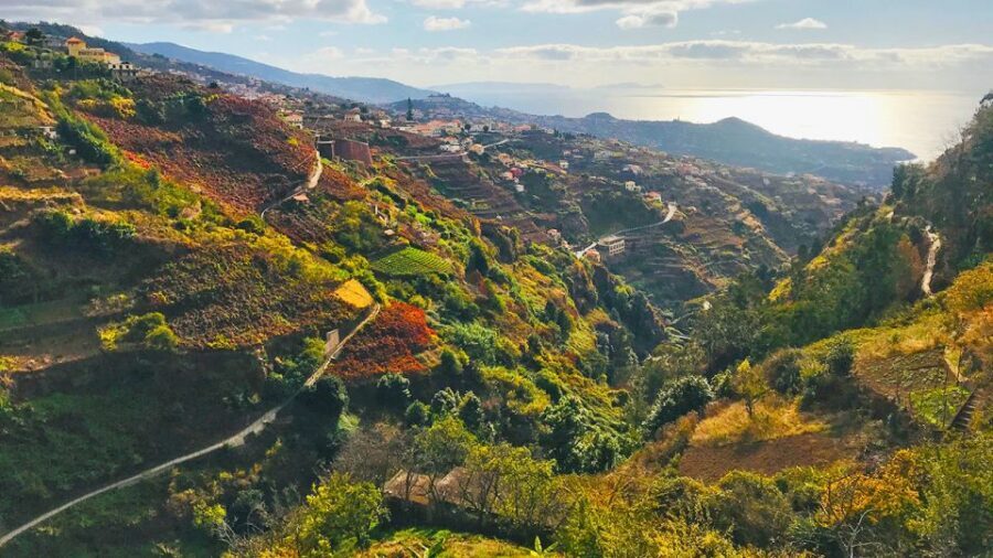 Funchal: Northern Levada Walking Tour - Ocean-and-mountain views, plus the one caution