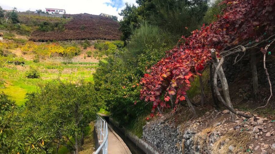 Funchal: Northern Levada Walking Tour - The 135 minutes: pacing, pickup, and how to plan your day
