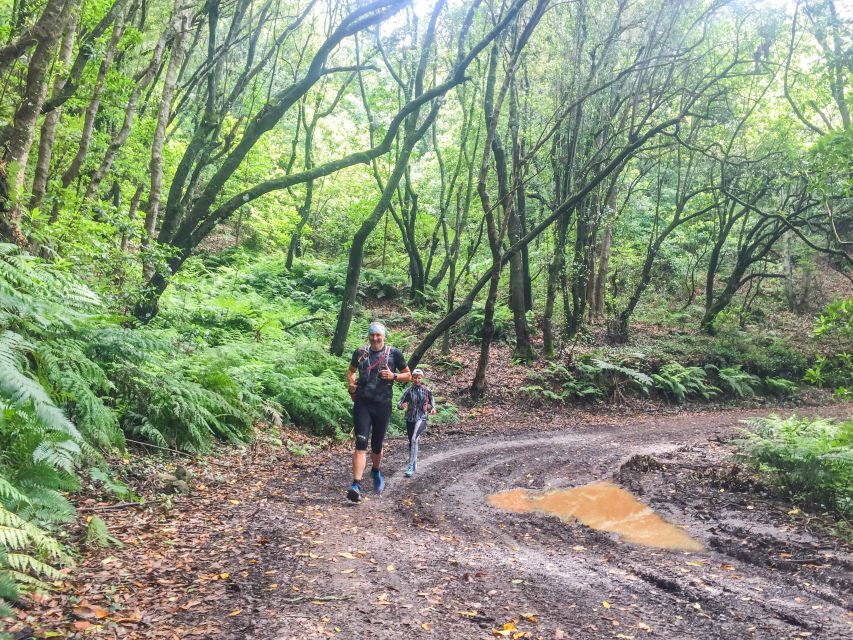 Funchal: Ocean to Mountain Running Tour - Larano Trail and coastal transitions: ocean views plus trail variety