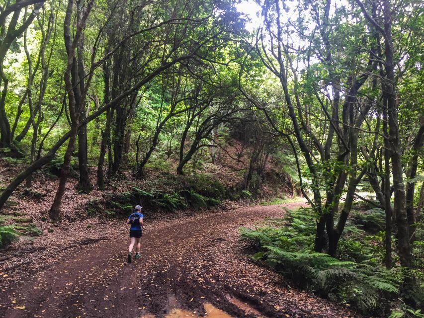 Funchal: Ocean to Mountain Running Tour - Guides make the difference: Dino, Dinarte, and smart pacing
