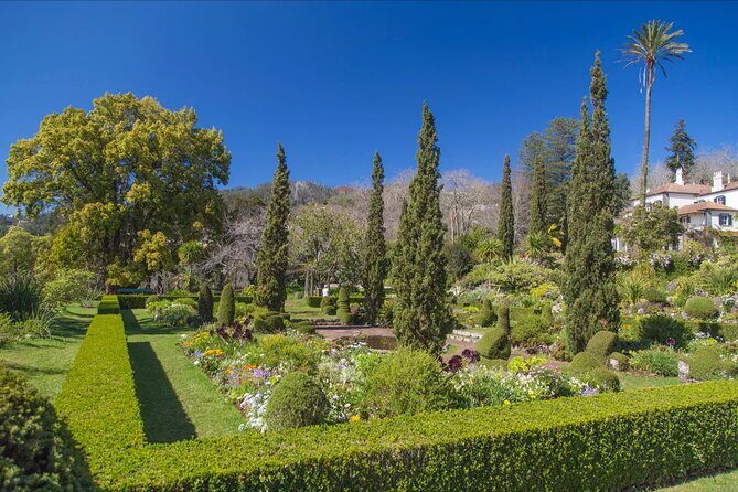 Funchal Old Town & Palheiro Gardens Private Tuk Tuk Tour - Weather, comfort, and what to plan for